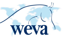 World Equine Veterinary Association